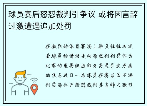 球员赛后怒怼裁判引争议 或将因言辞过激遭遇追加处罚