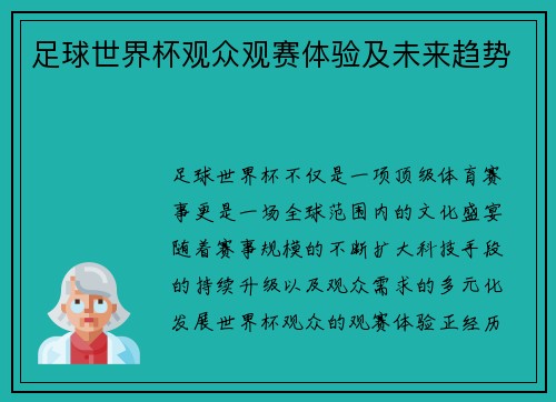 足球世界杯观众观赛体验及未来趋势